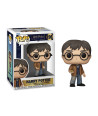 Figura Funko Pop Harry Potter 196 - Harry Potter - Buscador de la Snitch Dorada